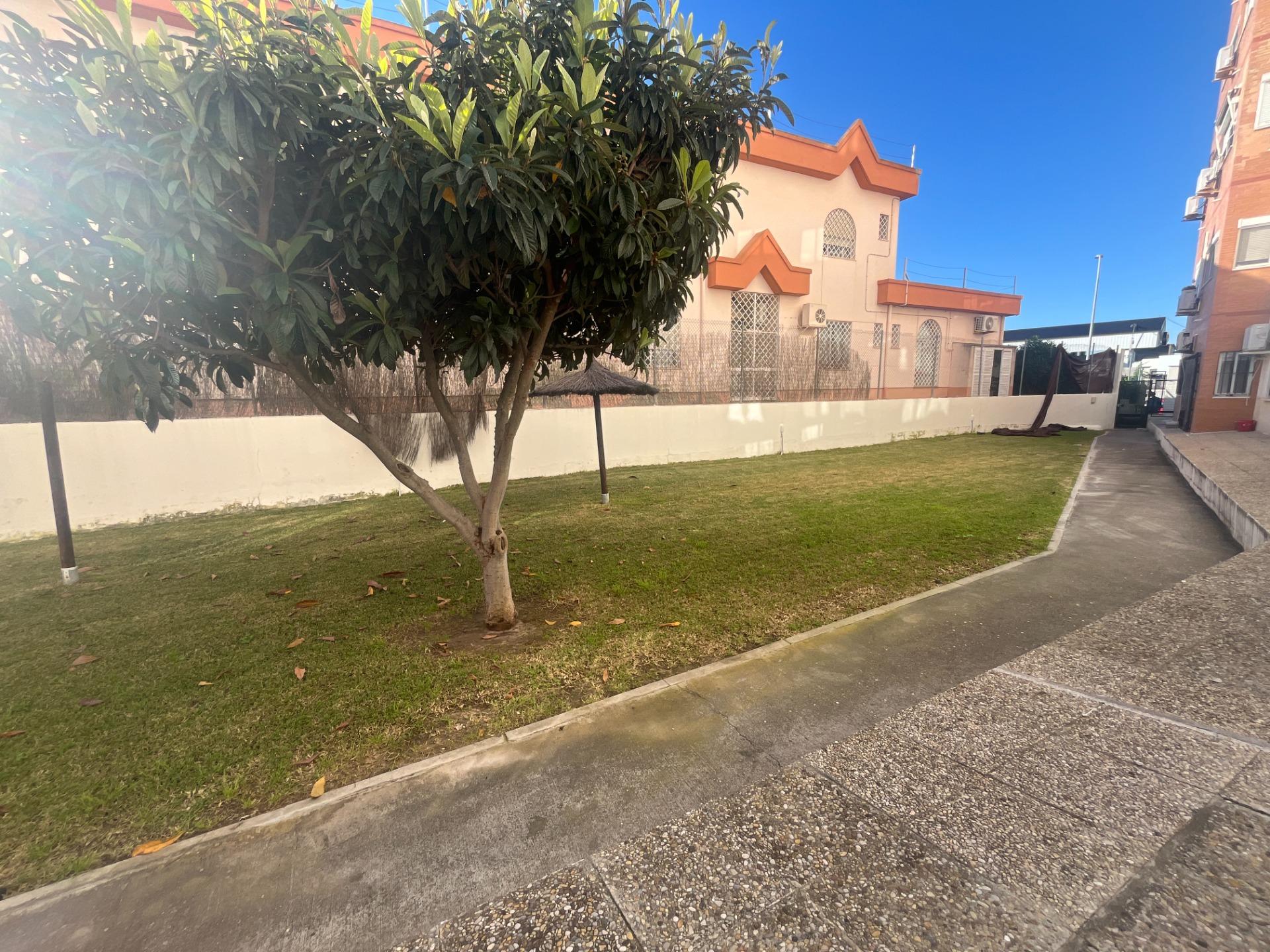 ESPECTACULAR PISO PARA ENTRAR A VIVIR EN ZONA NORTE EN JEREZ DE LA FRONTERA