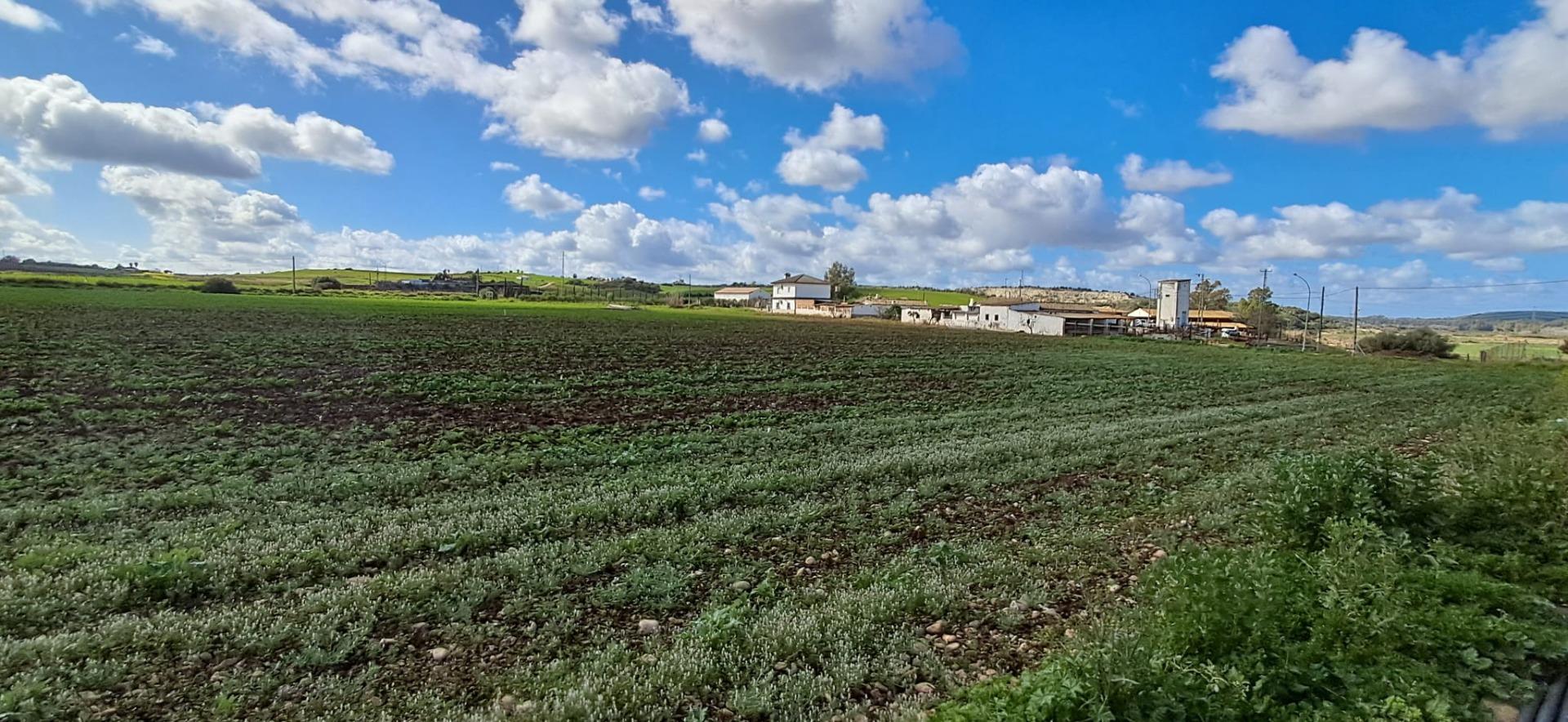 PARCELA EN ARCOS DE LA FRONTERA EN MAJADALES