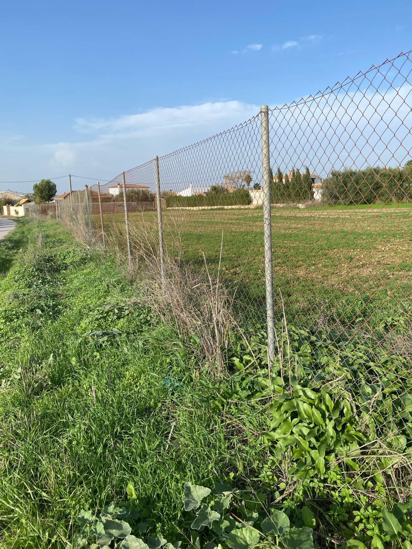 2800 METROS EN ARCOS DE LA FRONTERA