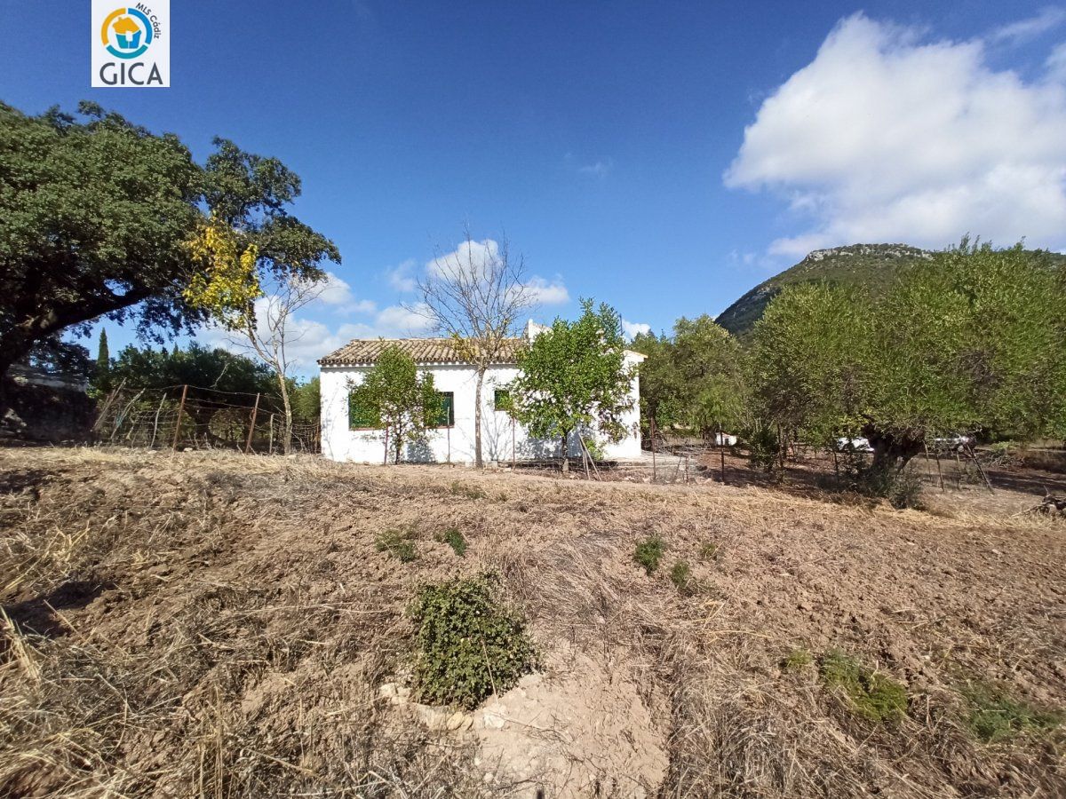 CASA CON PARCELA EN LA SIERRA DE CADIZ -EL BOSQUE