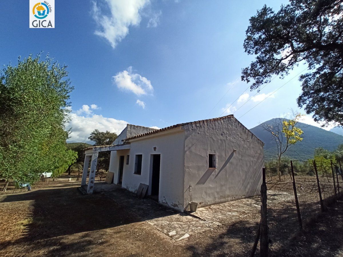 CASA CON PARCELA EN LA SIERRA DE CADIZ -EL BOSQUE
