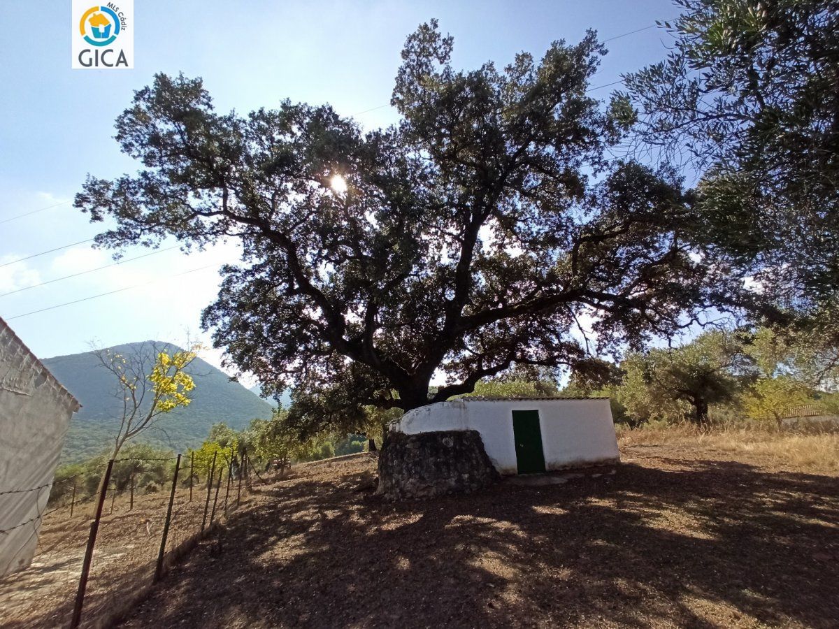 CASA CON PARCELA EN LA SIERRA DE CADIZ -EL BOSQUE