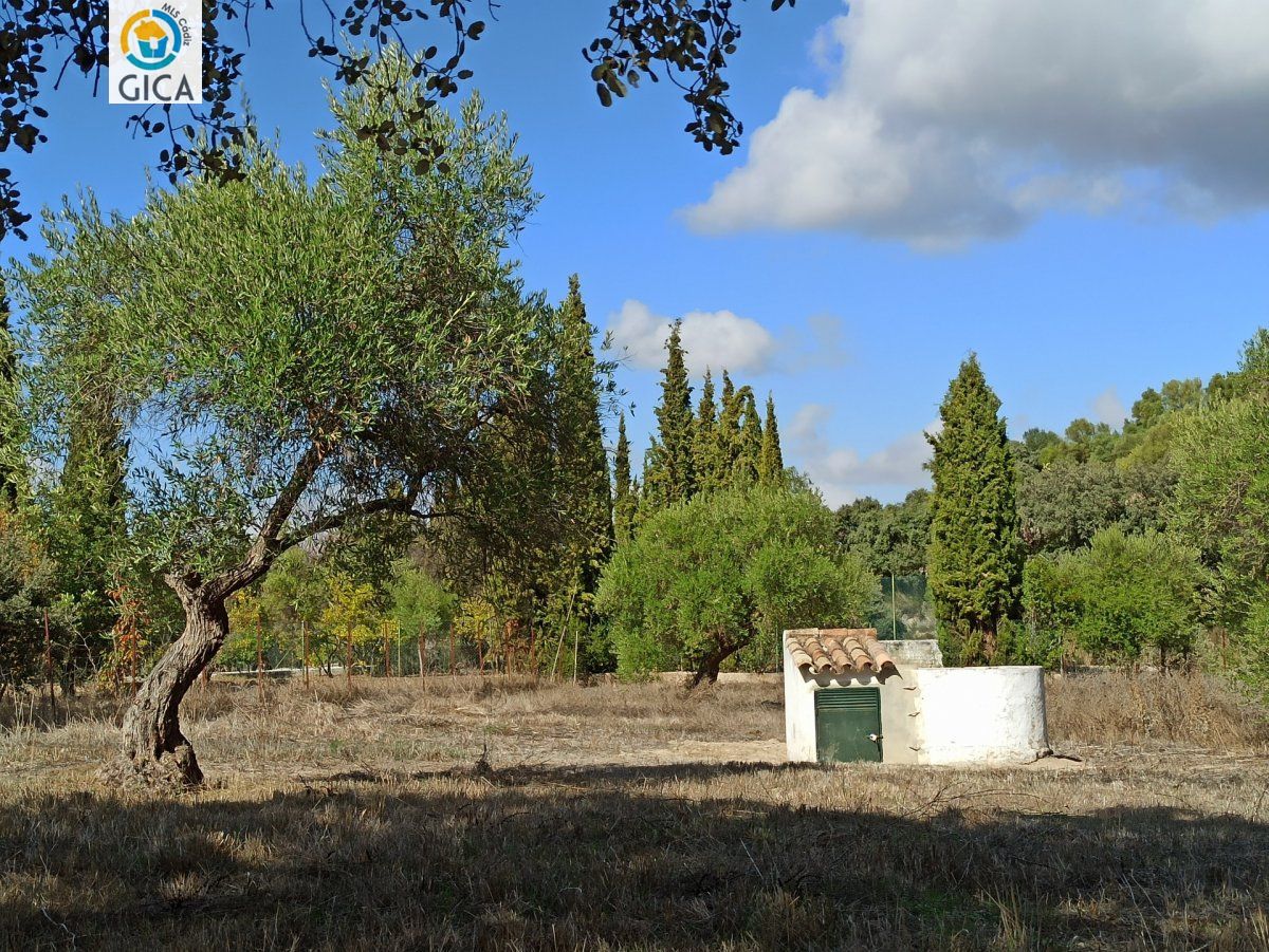 CASA CON PARCELA EN LA SIERRA DE CADIZ -EL BOSQUE