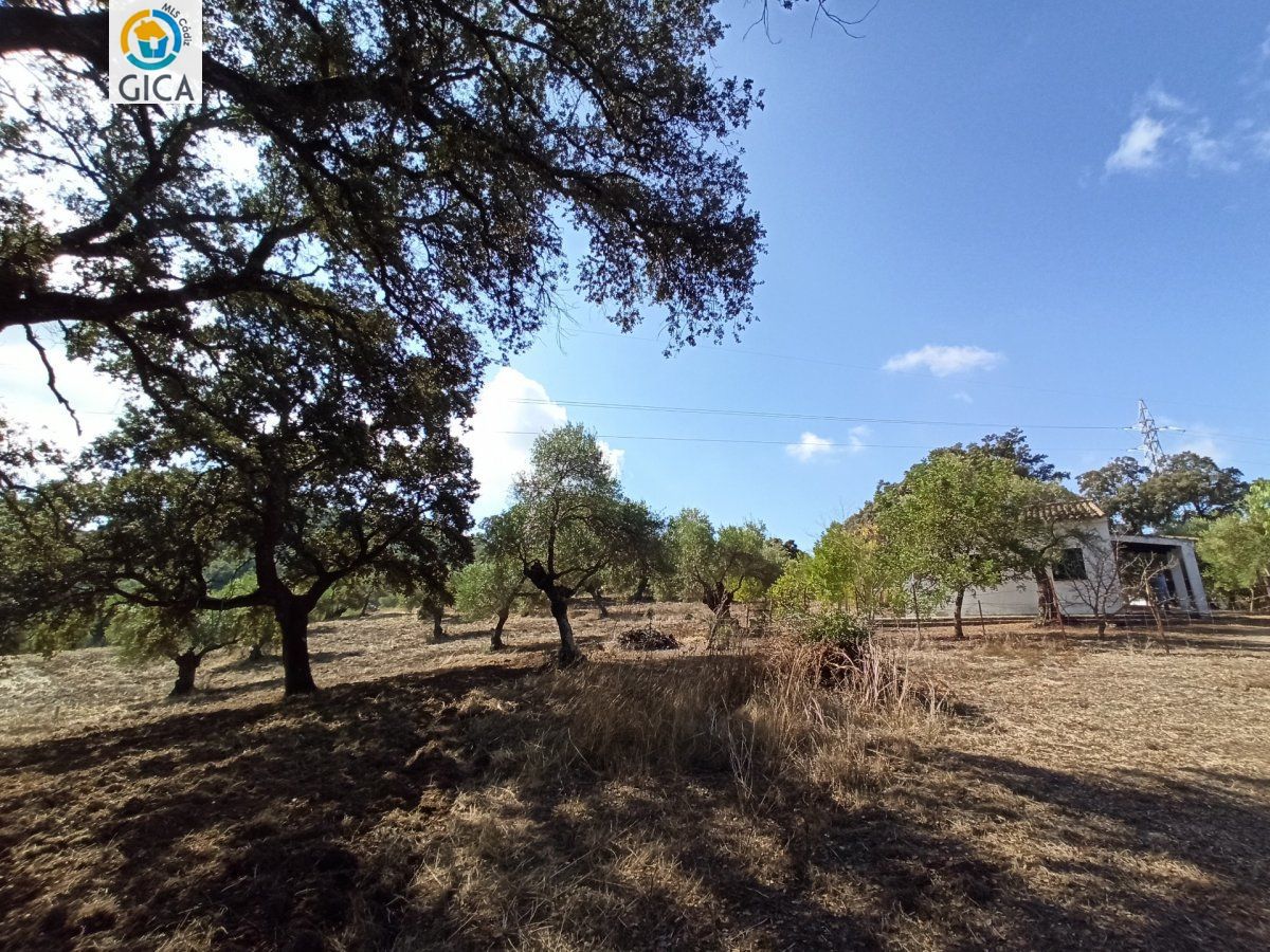 CASA CON PARCELA EN LA SIERRA DE CADIZ -EL BOSQUE