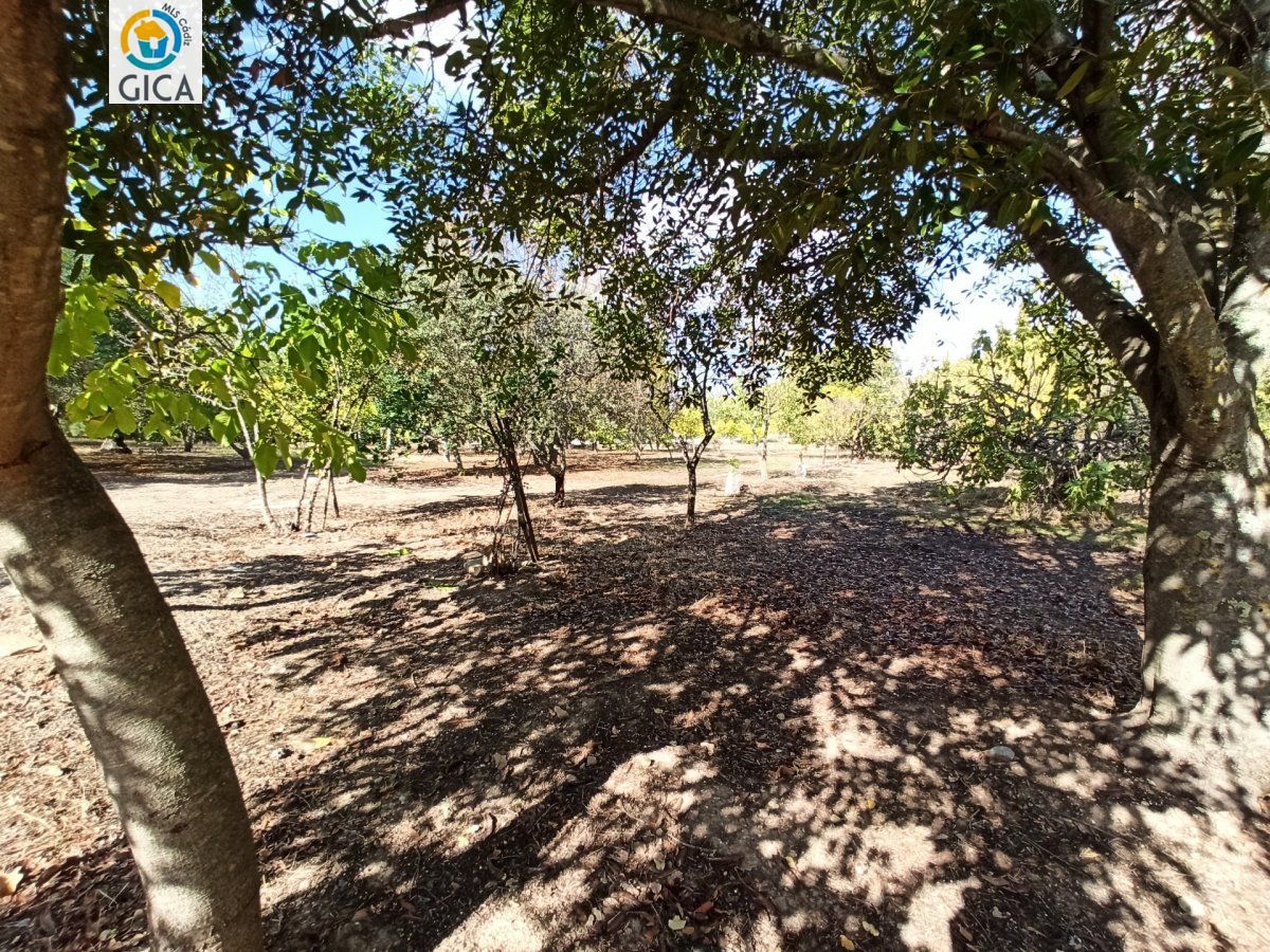 CASA CON PARCELA EN LA SIERRA DE CADIZ -EL BOSQUE