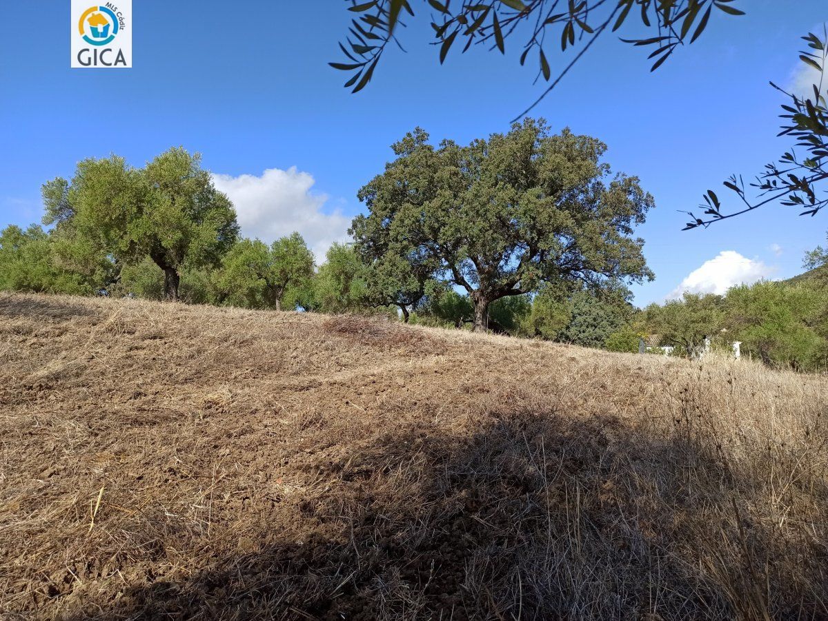 CASA CON PARCELA EN LA SIERRA DE CADIZ -EL BOSQUE