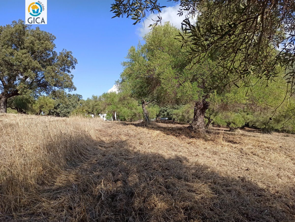 CASA CON PARCELA EN LA SIERRA DE CADIZ -EL BOSQUE