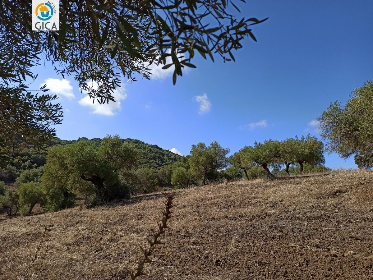 CASA CON PARCELA EN LA SIERRA DE CADIZ -EL BOSQUE