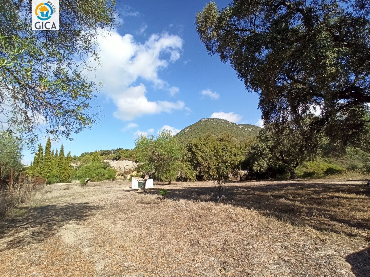 CASA CON PARCELA EN LA SIERRA DE CADIZ -EL BOSQUE