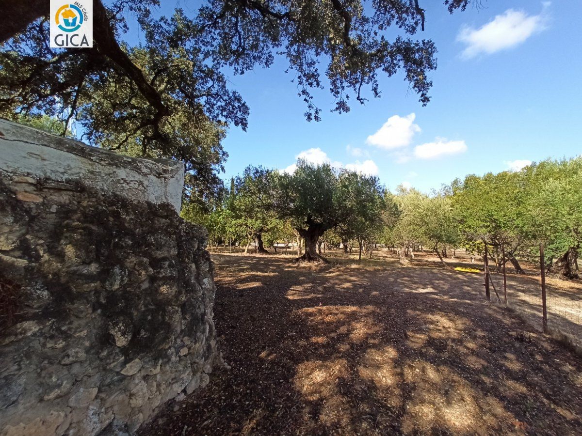 CASA CON PARCELA EN LA SIERRA DE CADIZ -EL BOSQUE