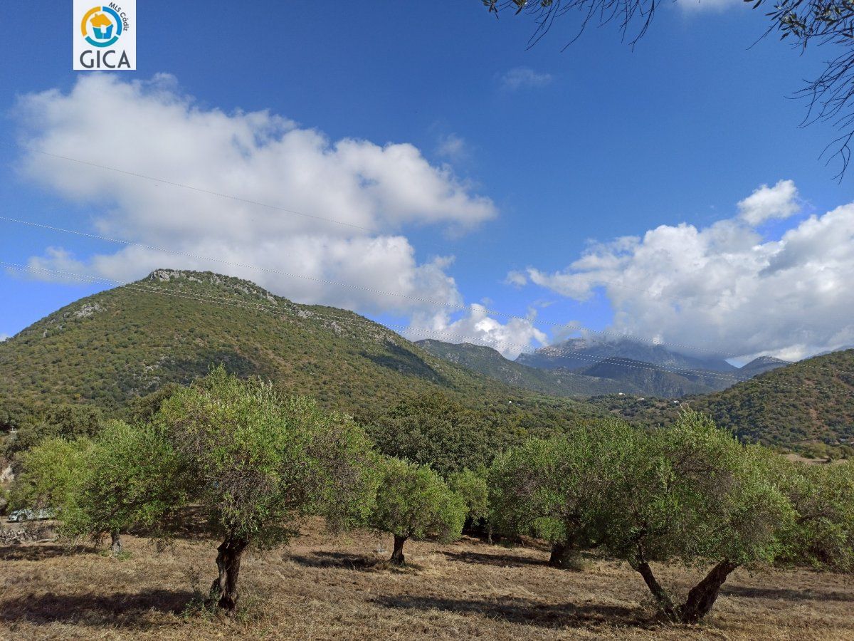 CASA CON PARCELA EN LA SIERRA DE CADIZ -EL BOSQUE
