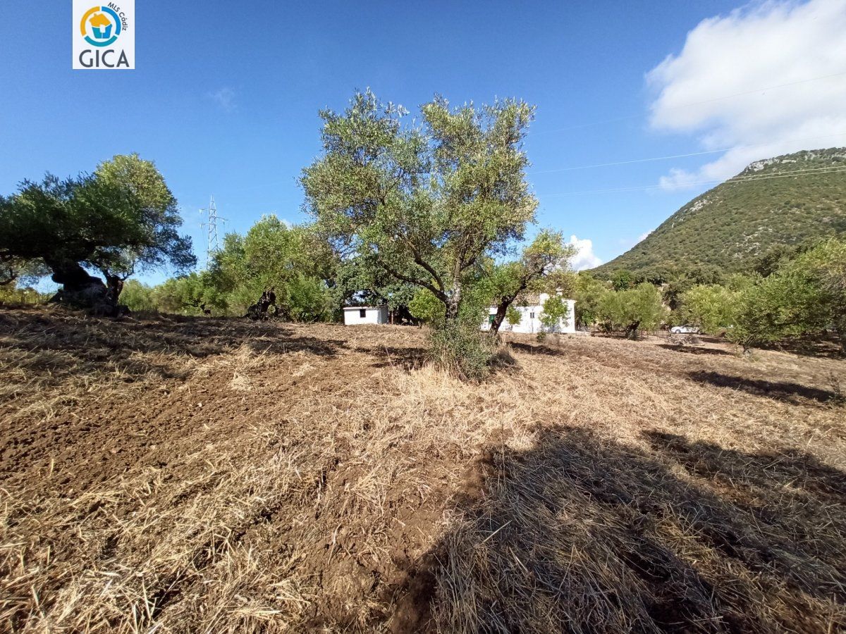 CASA CON PARCELA EN LA SIERRA DE CADIZ -EL BOSQUE