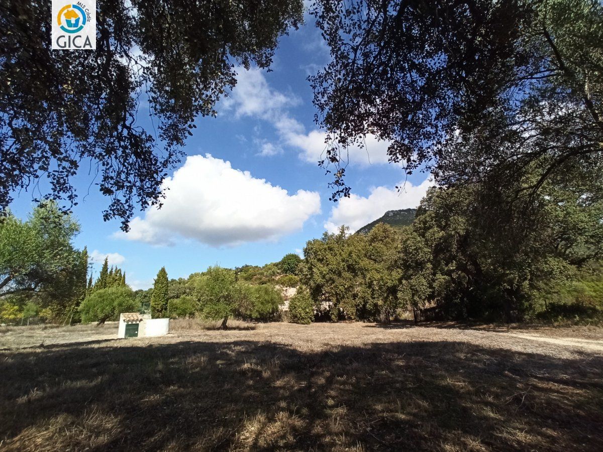 CASA CON PARCELA EN LA SIERRA DE CADIZ -EL BOSQUE