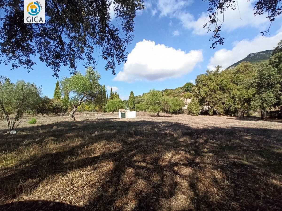CASA CON PARCELA EN LA SIERRA DE CADIZ -EL BOSQUE
