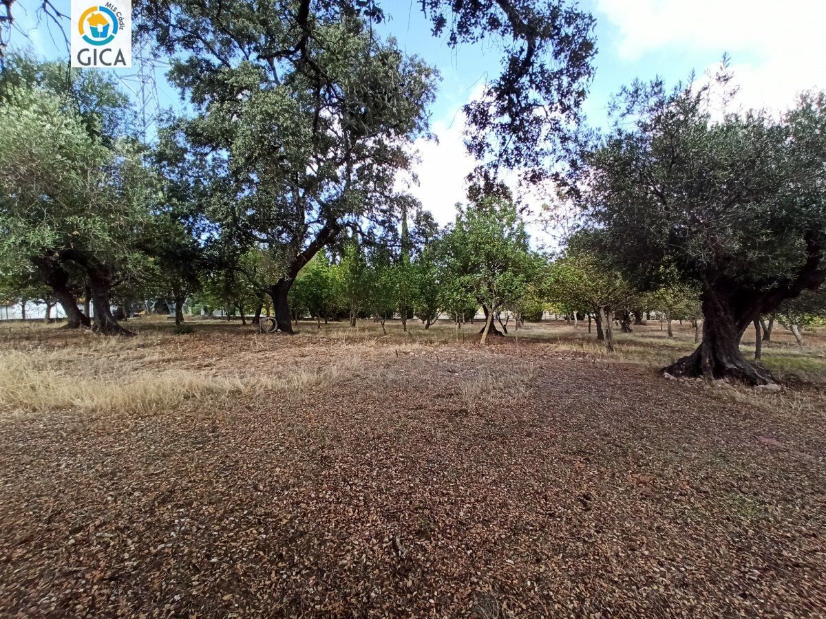 CASA CON PARCELA EN LA SIERRA DE CADIZ -EL BOSQUE
