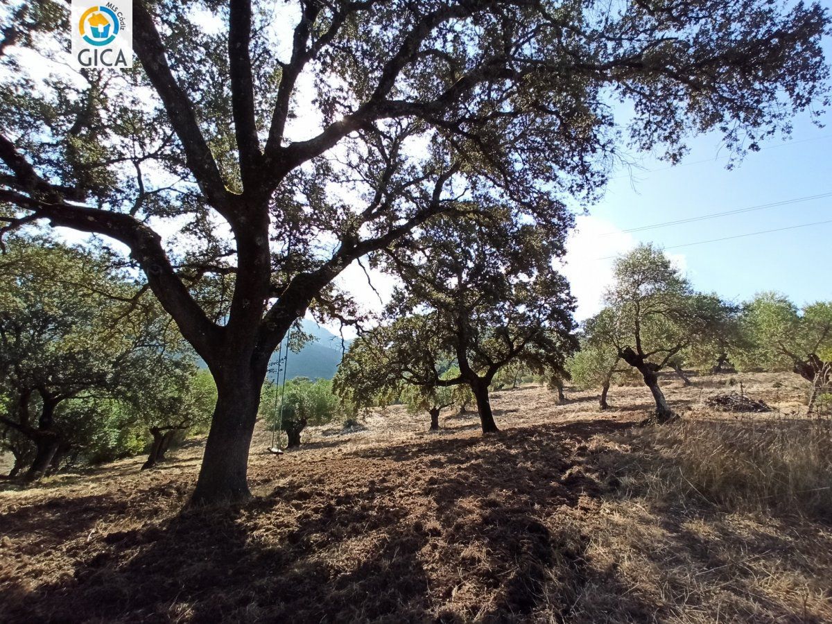 CASA CON PARCELA EN LA SIERRA DE CADIZ -EL BOSQUE