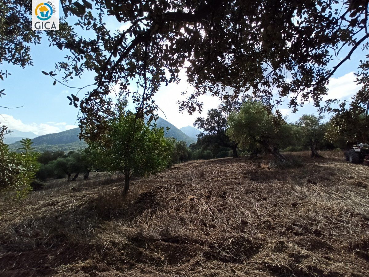 CASA CON PARCELA EN LA SIERRA DE CADIZ -EL BOSQUE