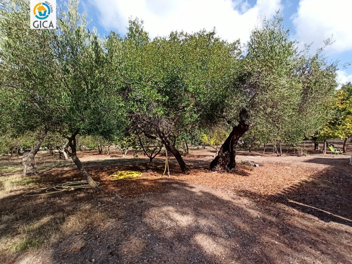 CASA CON PARCELA EN LA SIERRA DE CADIZ -EL BOSQUE