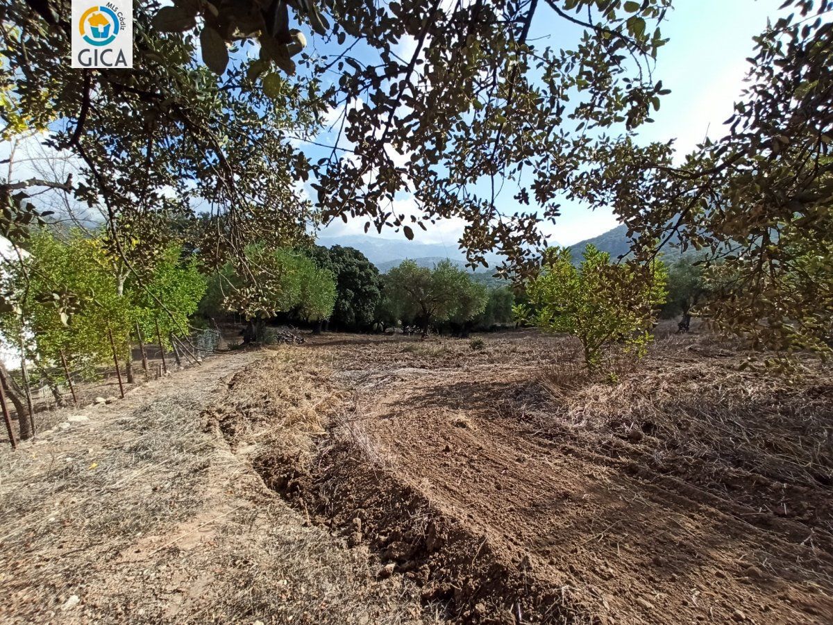CASA CON PARCELA EN LA SIERRA DE CADIZ -EL BOSQUE