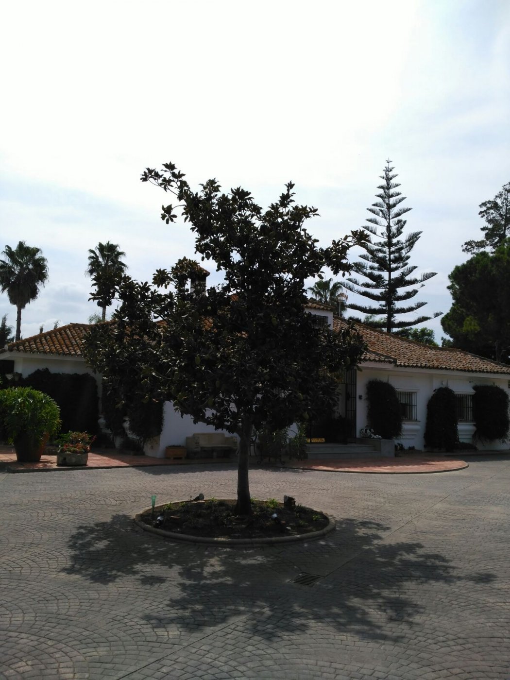 FANTÁSTICO CHALET EN LA JARA
