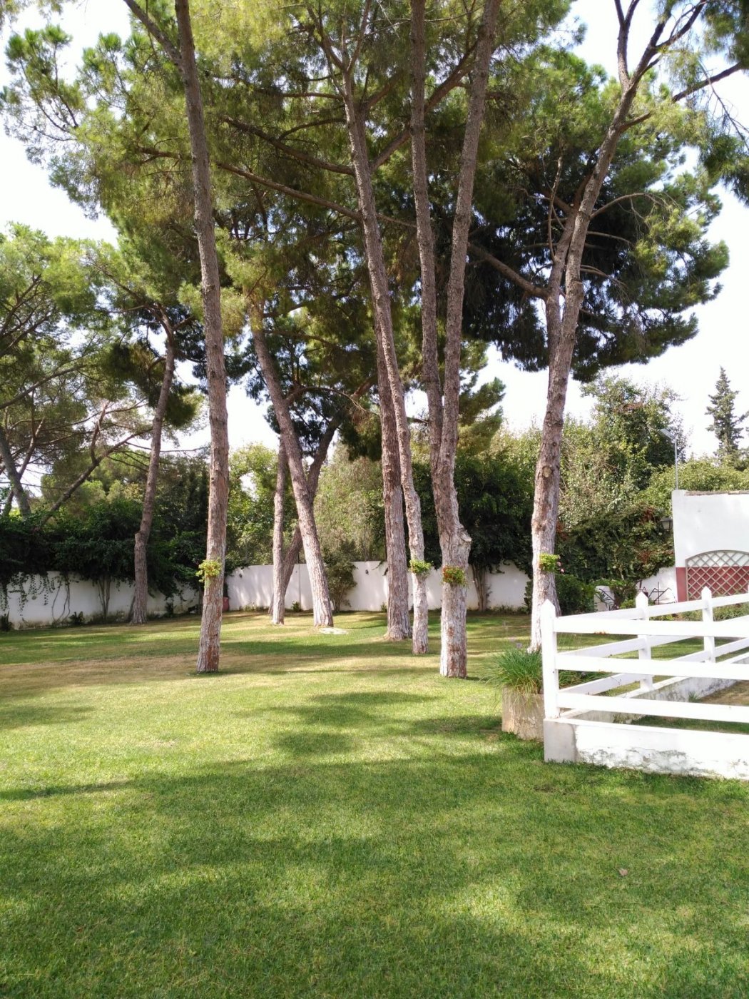 FANTÁSTICO CHALET EN LA JARA