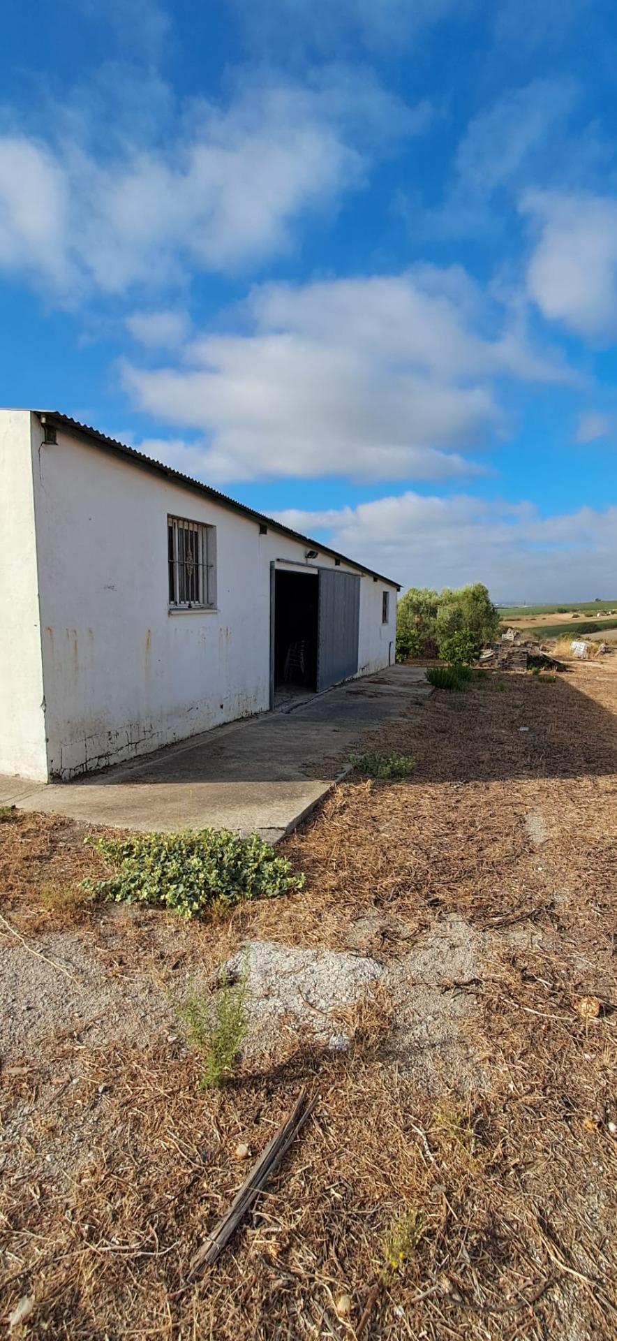 FINCA RÚSTICA EN ARCOS DE LA FRONTERA