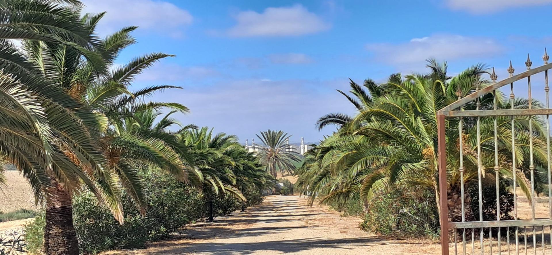 FINCA RÚSTICA EN ARCOS DE LA FRONTERA
