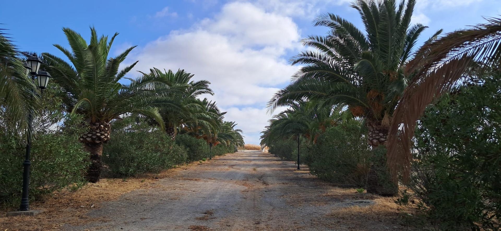 FINCA RÚSTICA EN ARCOS DE LA FRONTERA