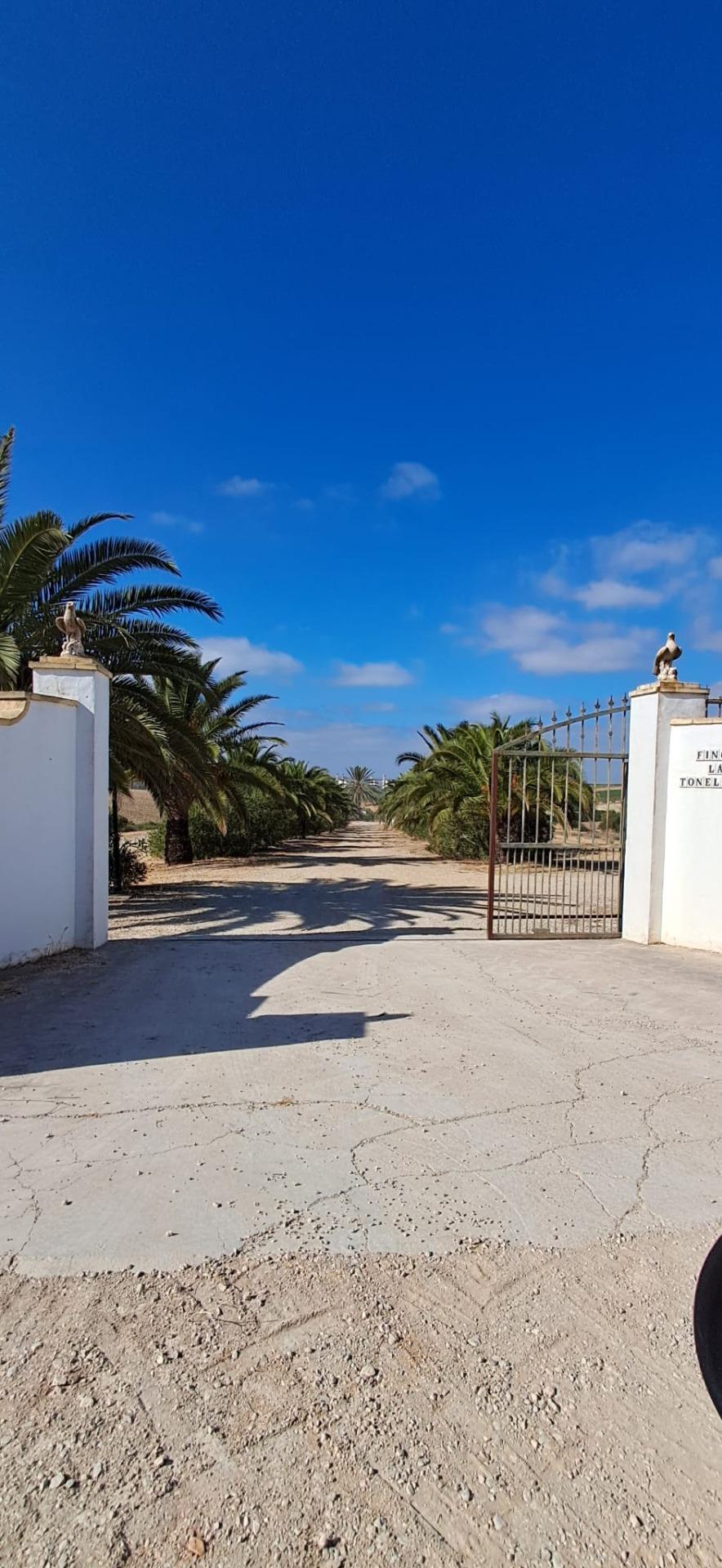FINCA RÚSTICA EN ARCOS DE LA FRONTERA