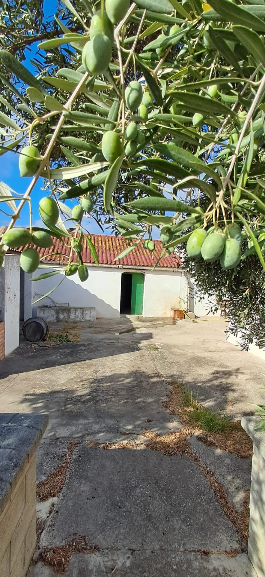 FINCA RÚSTICA EN ARCOS DE LA FRONTERA