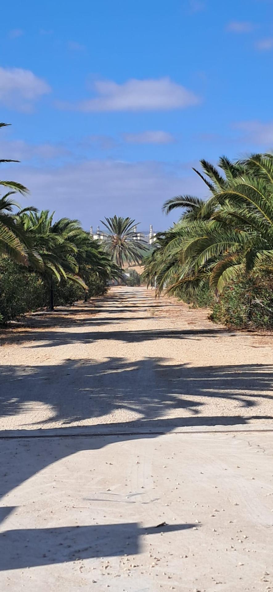 FINCA RÚSTICA EN ARCOS DE LA FRONTERA