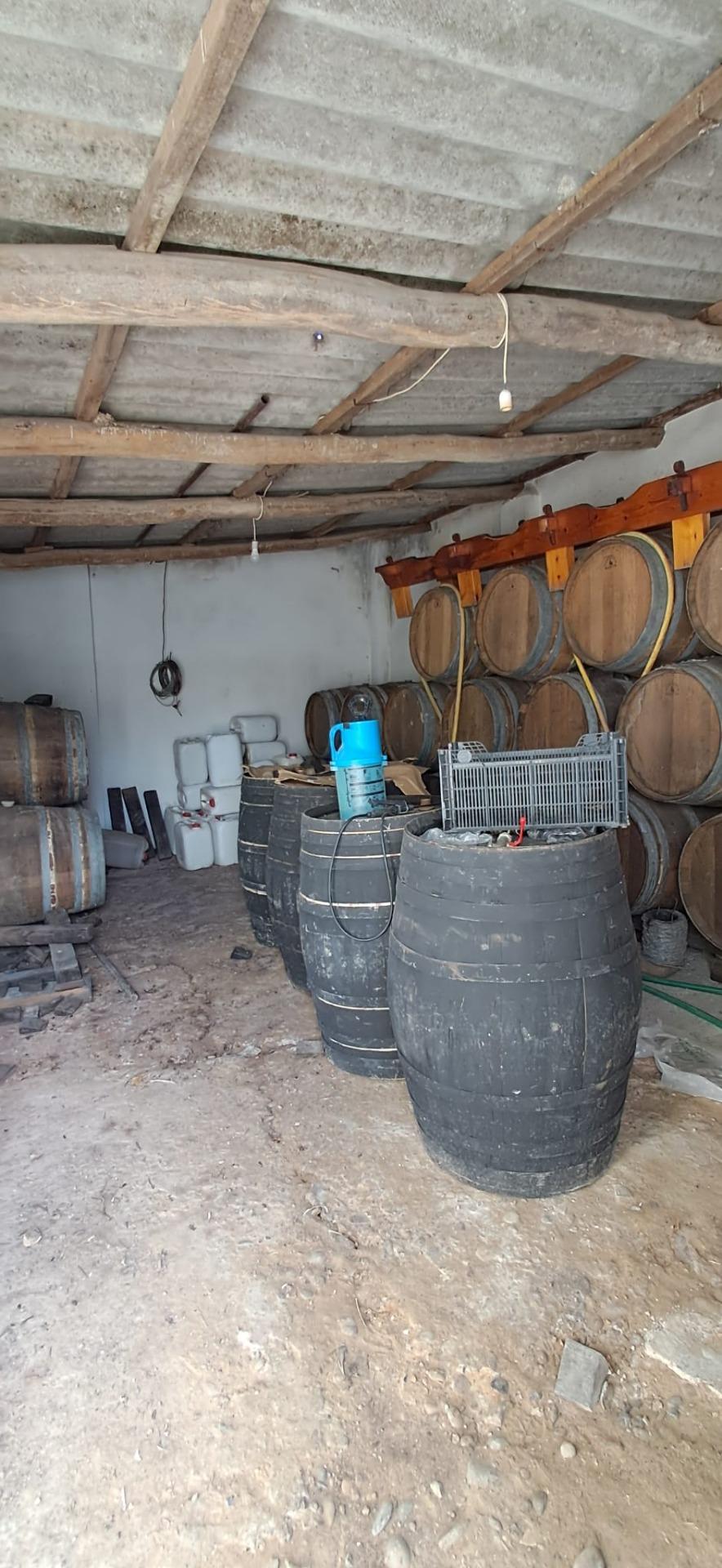 FINCA RÚSTICA EN ARCOS DE LA FRONTERA
