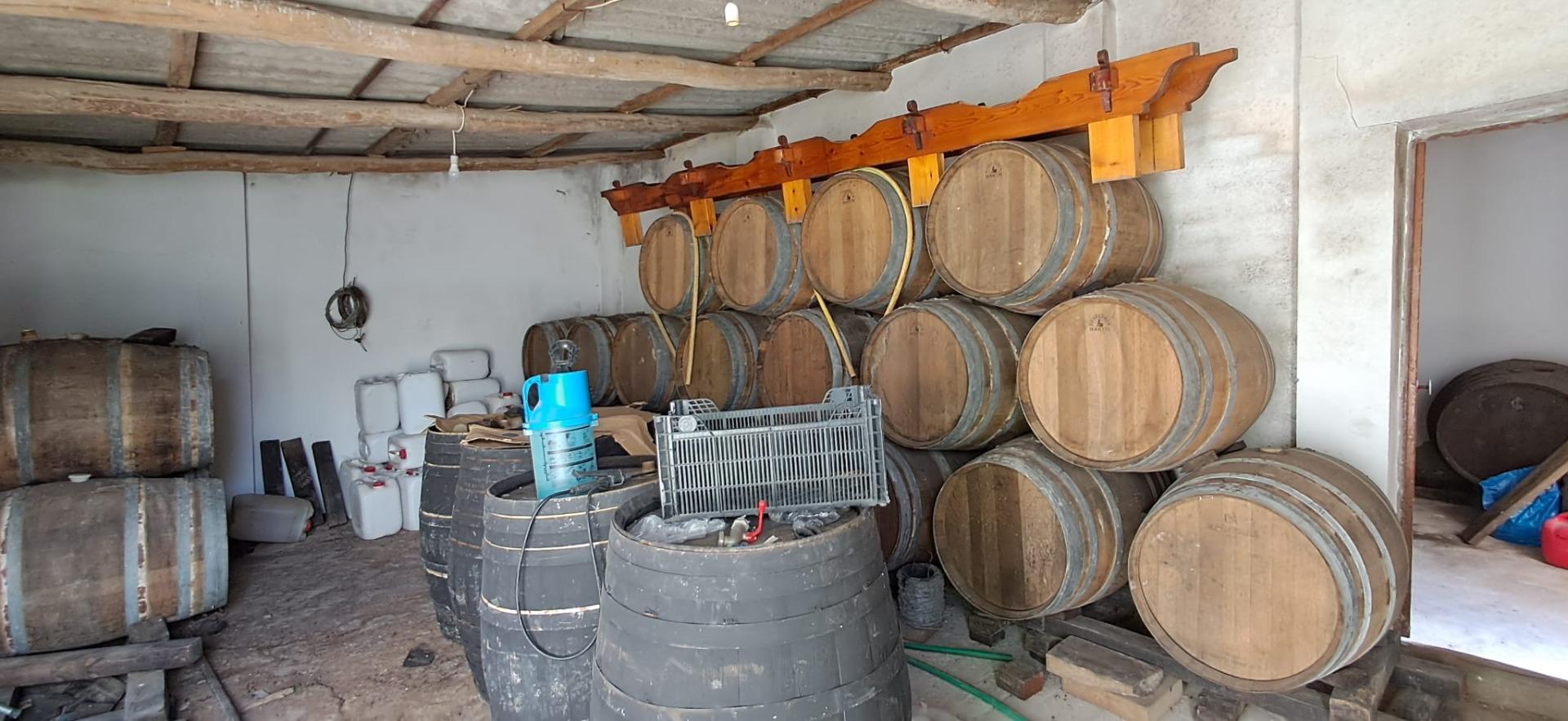 FINCA RÚSTICA EN ARCOS DE LA FRONTERA