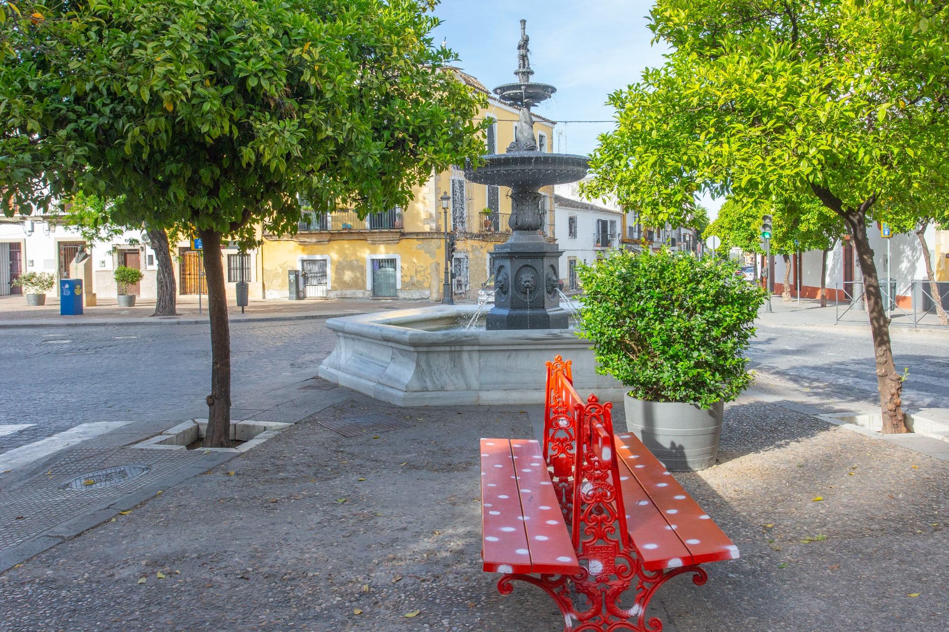 LOFT CON LICENCIA TURISTICA EN CENTRO HISTORICO DE JEREZ DE LA FRONTERA