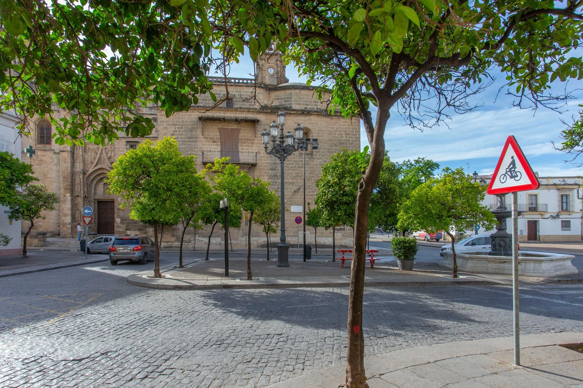 LOFT CON LICENCIA TURISTICA EN CENTRO HISTORICO DE JEREZ DE LA FRONTERA